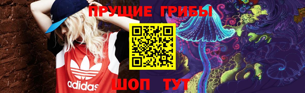 Псилоцибиновые грибы Psilocybine cubensis Зеленогорск
